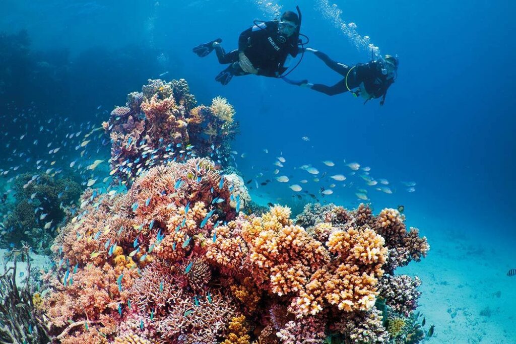 underwater shot in Great Barrier Reef