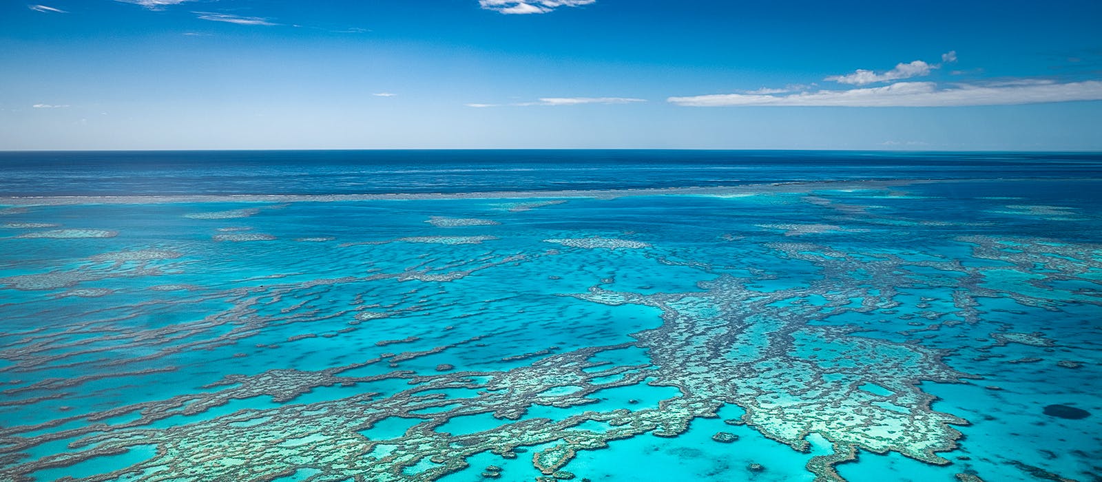 aerial shot of the great barrier reef
