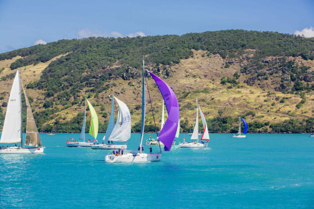 boats at Airlie Bach race week