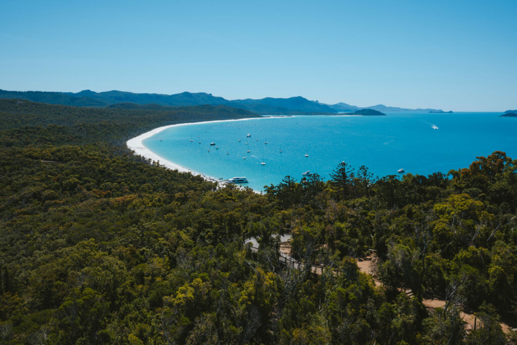 view from lookout at Whitehaven Beach