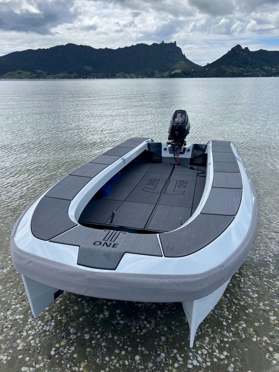 ONETenders_C42_Catamaran_Tender_4
